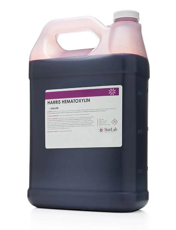 Statlab Medical Products Harris Hematoxylin Stain, 1 Gallon