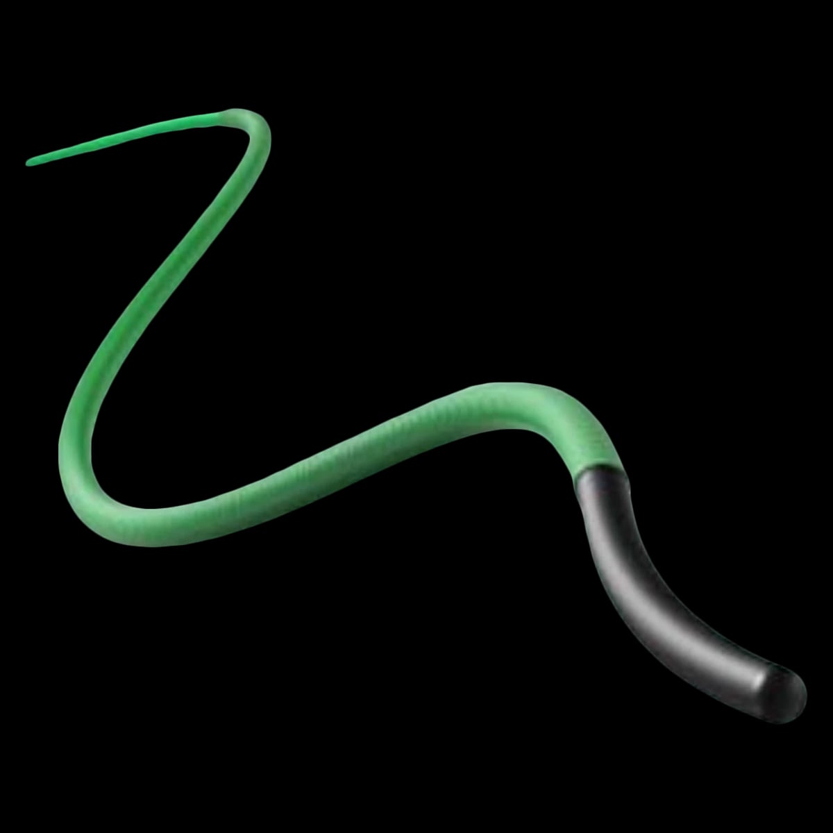 Bard Solo Plus Stiff Hydrophilic Guidewire, 150 cm