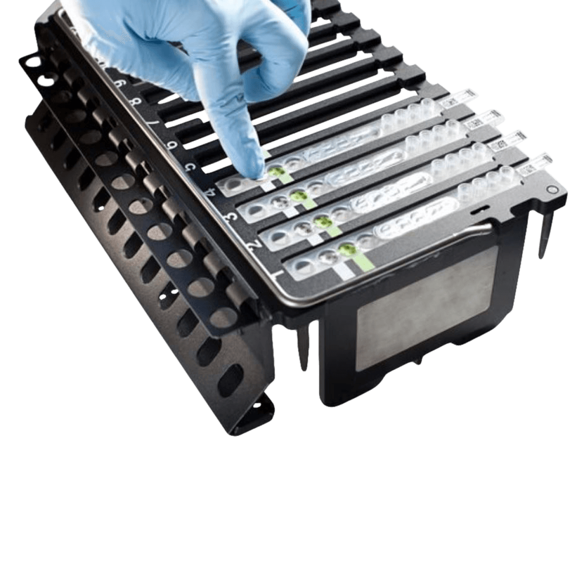 BD MAX Extended Enteric Bacterial Panel Assay Kit, 1/Kt, 01KT0J077A0ZGK5KXJS3HDNSX2