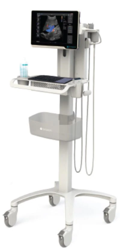 Terason Ultrasound Mobile Cart