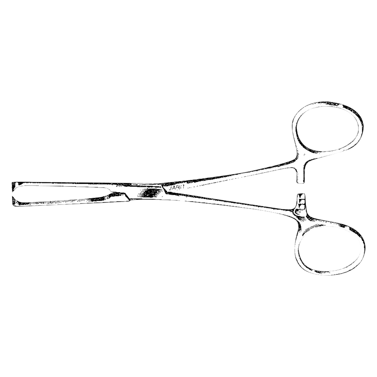 Jarit Allis Tissue Forceps, 6-1/4", German Stainless Steel, Each