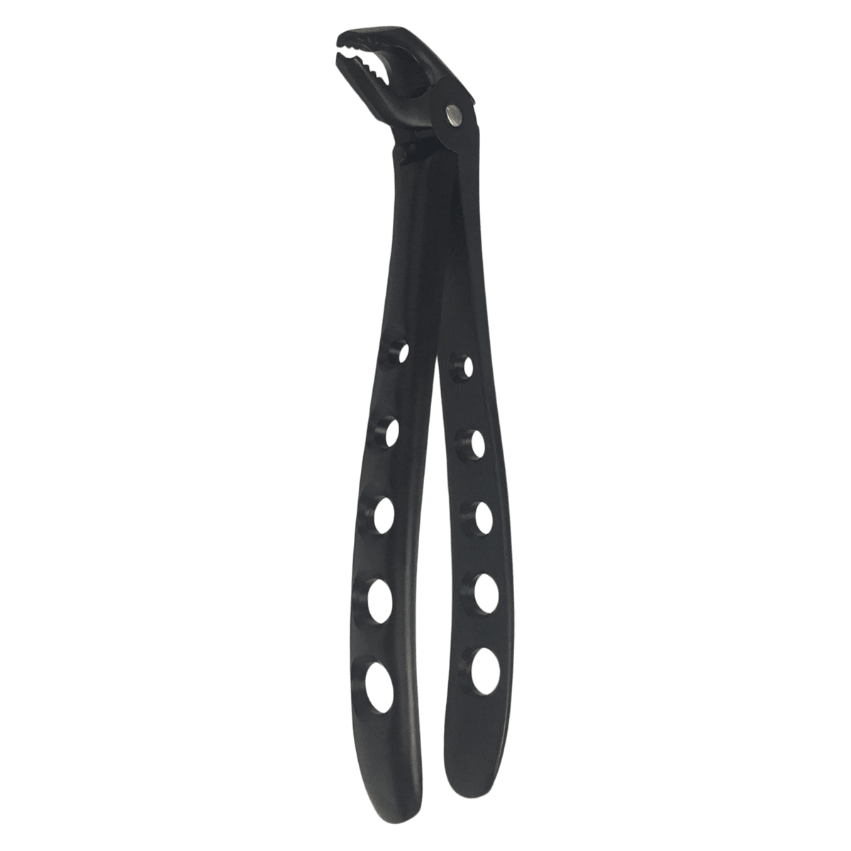 A. Titan Instruments Banditt Xtra Grip Forceps, Lower Molar, Ash Pattern, Serrated, 1/Pk, 7301 XG