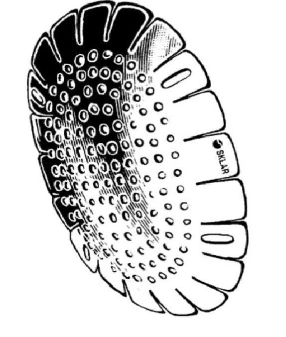 Sklar Instruments Fox Aluminum Perforated Eye Shield