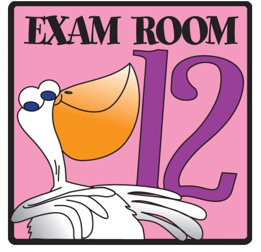 Clinton Industries Exam Room 12 Sign, Flat Surface Mount, Pelican