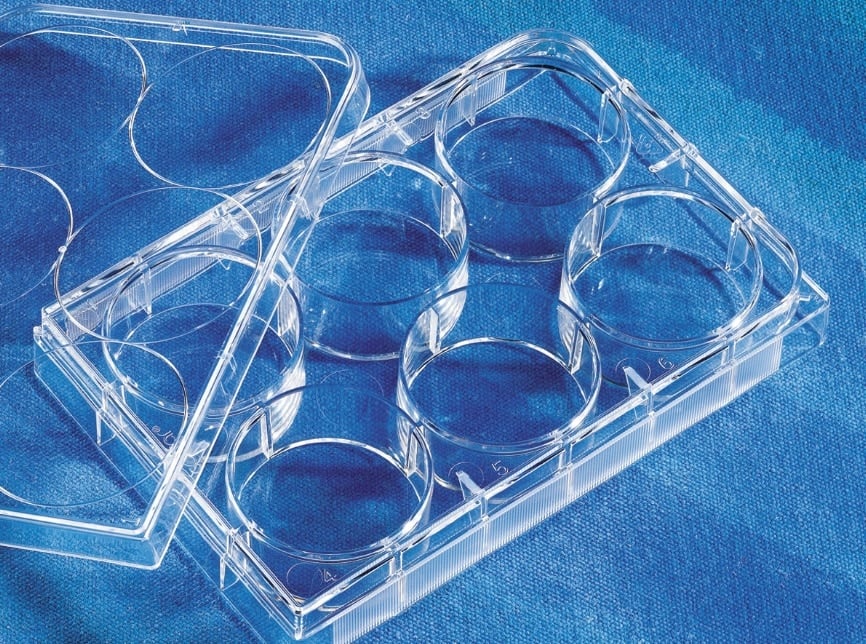 Corning Costar 6-Well Cell Culture Plate, TC-Treated, Polystyrene, Flat Bottom, Sterile, Individually Wrapped, 50/Case