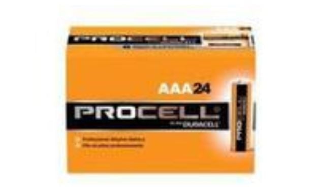Procell Alkaline AAA Battery, 24/Box