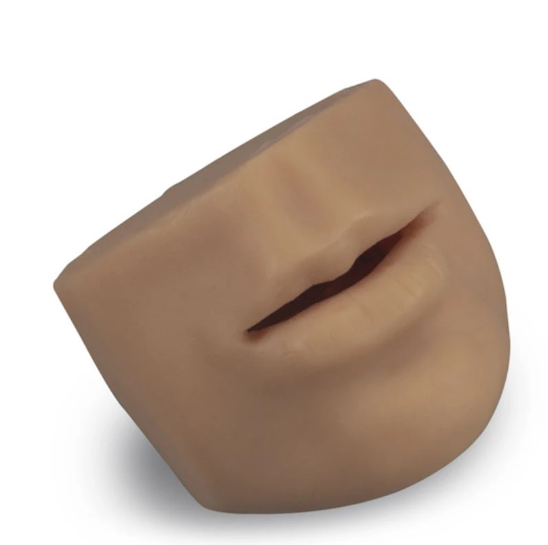 Life/form Mouth Suture Skin Replacement, Unisex, for Suture Practice, Each