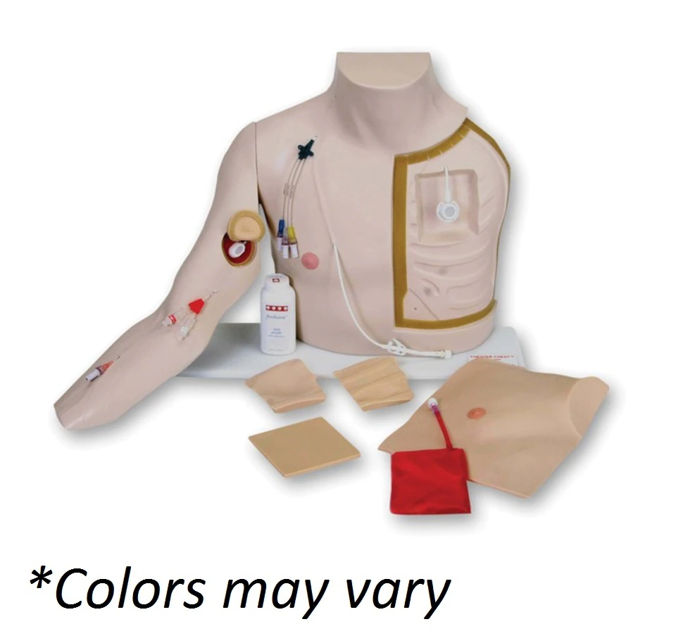 Vata Chester Chest Torso Vascular Access Model with Standard Arm, Dark Skin, 15.6x23.5x10", 01KWC87QE3A2AAQMWYGWBV88EX