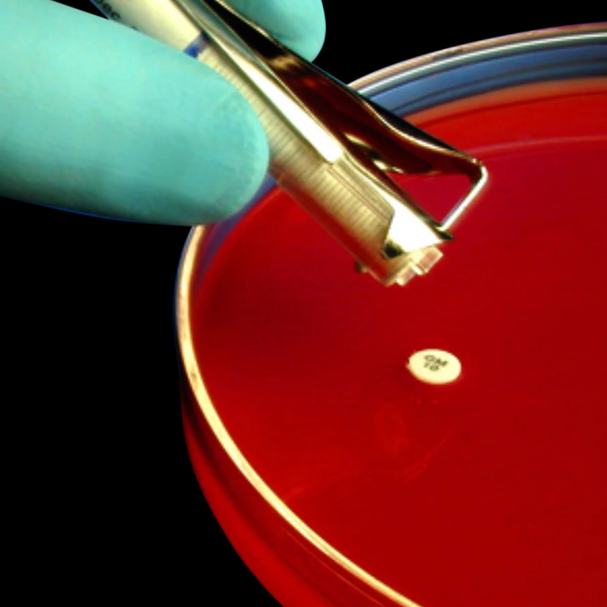 HardyDisk Tetracycline TE-30 Antimicrobial Susceptibility Disk, 30 mcg, 50 Discs per Cartridge