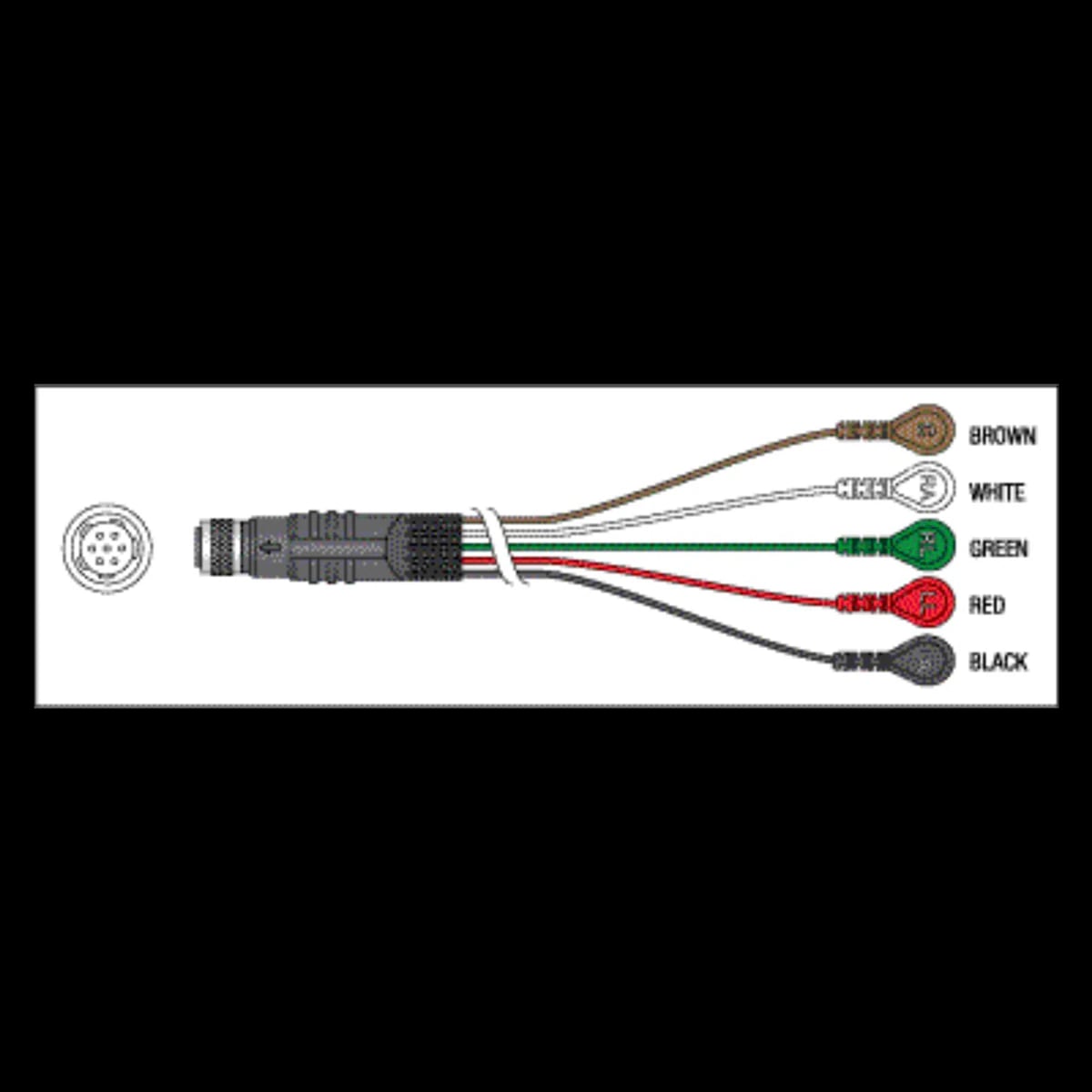 Patient Cable, 5-Lead, for IQ Mark Holter Recorder, 43" Length, Brown/White/Green/Red/Black, Each