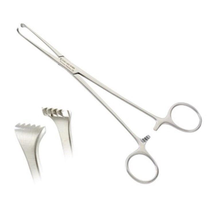 Euro-Med Allis Tissue Forceps, 7.5", 5x6 Teeth, Stainless Steel, Non-Sterile, Each