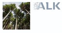American Tree Panel #9 Allergen Mix (Alder, White Ash, Black Birch, American Elm, Shagbark Hickory, Maple Sugar, White Oak, White Poplar), Each