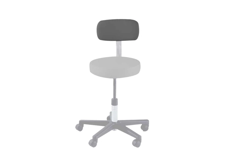 Midmark Ritter 270 Series Stool Backrest Pad, Iron Ore, Each