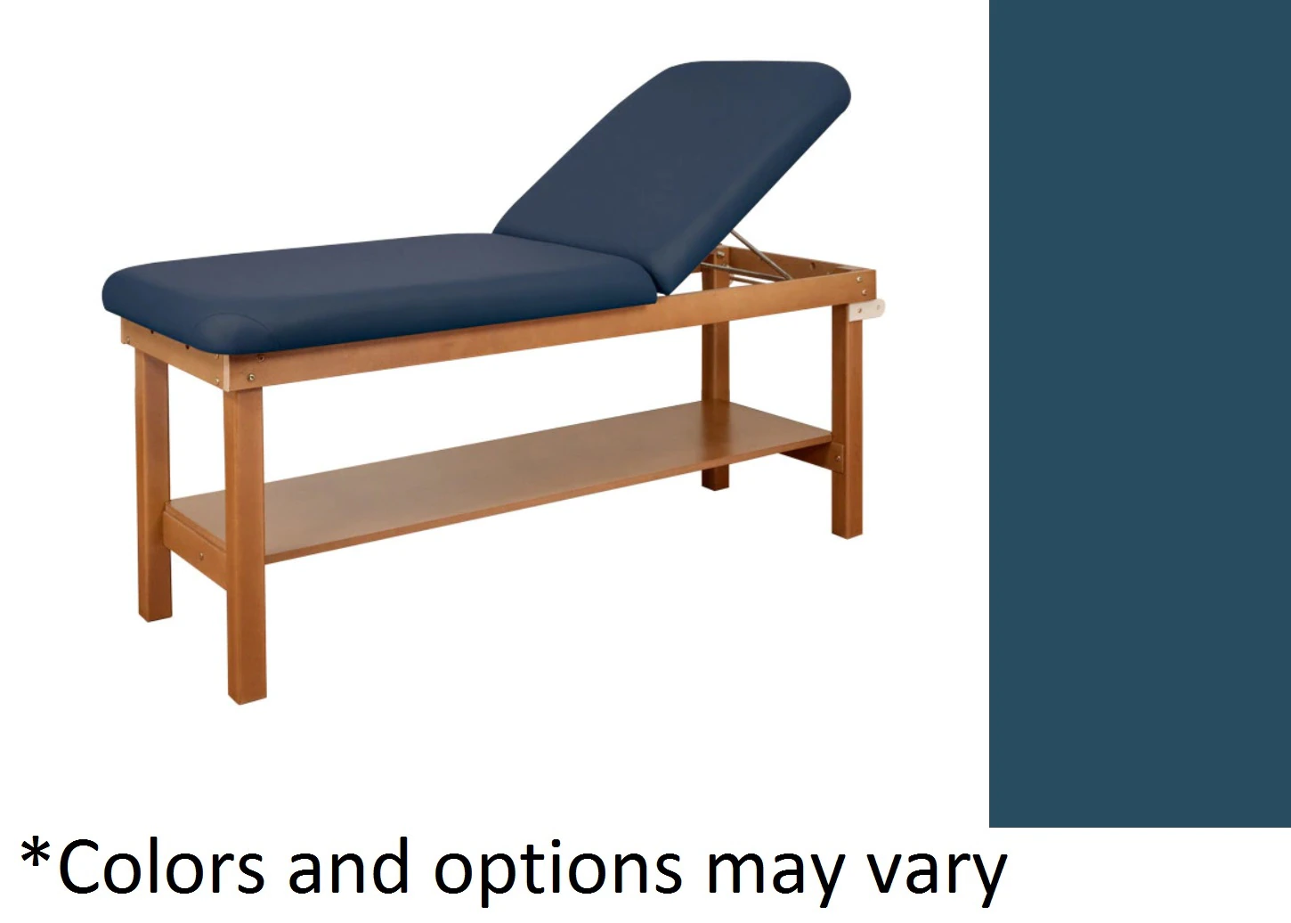 Oakworks Powerline Treatment Table Heron with Shelf, 500 lb Capacity