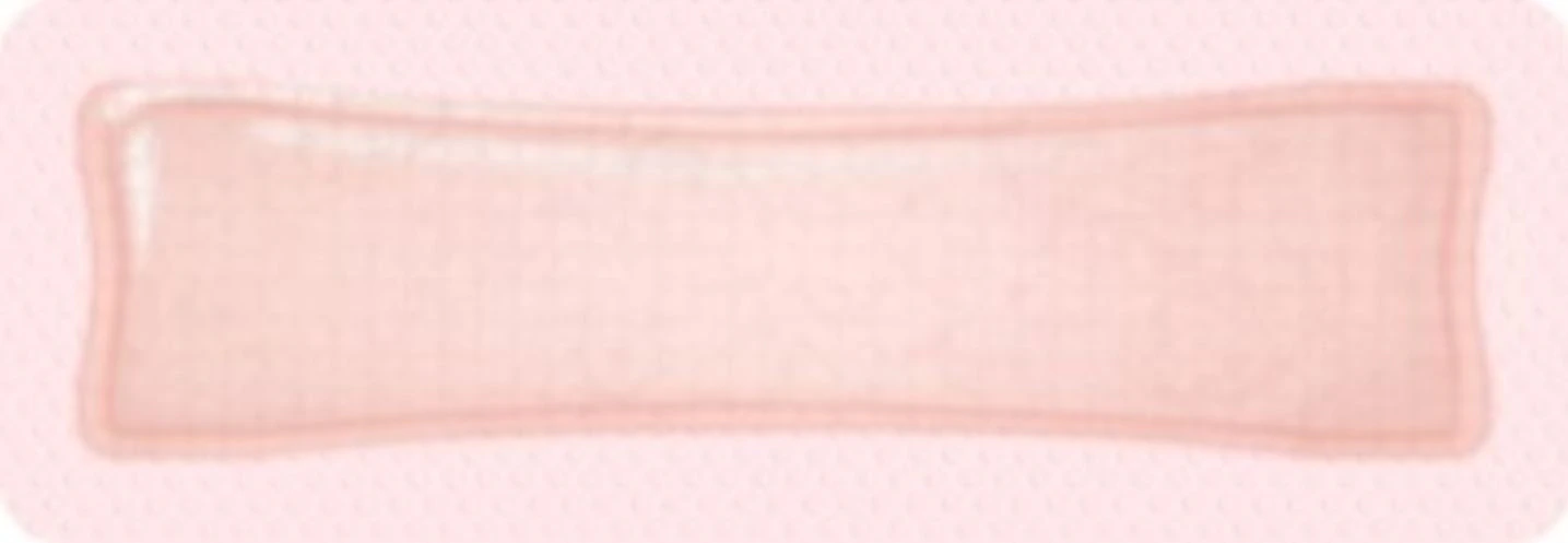 Allevyn Gentle Border Foam Dressing, 10x30cm, Silicone Adhesive, Medium Absorbency, Rectangle