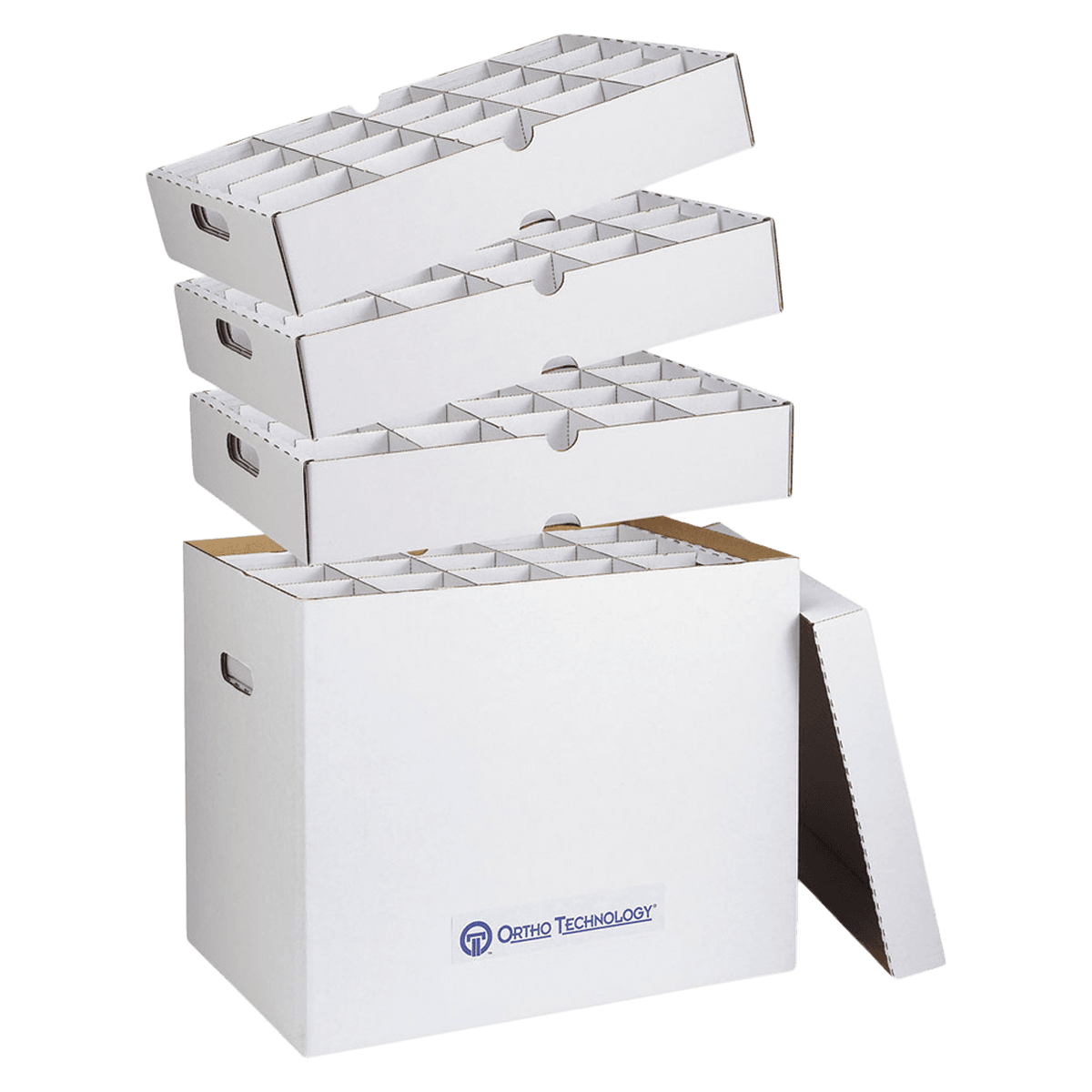 Ortho Model Storage Box, Top Loading, 15"H x 19½"W x 13¼"D, 4/Pkg, 37810