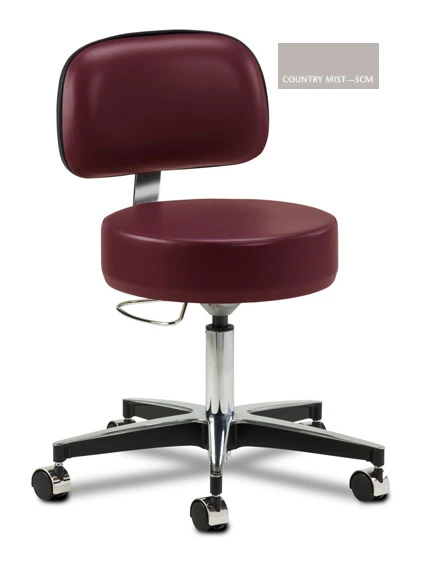 Clinton Industries Exam Stool with Back, Country Mist