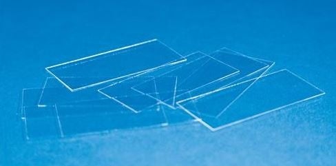 Erie Scientific Cover Glass, Rectangle, 22 x 30 mm, Thickness #1, 10 oz Case