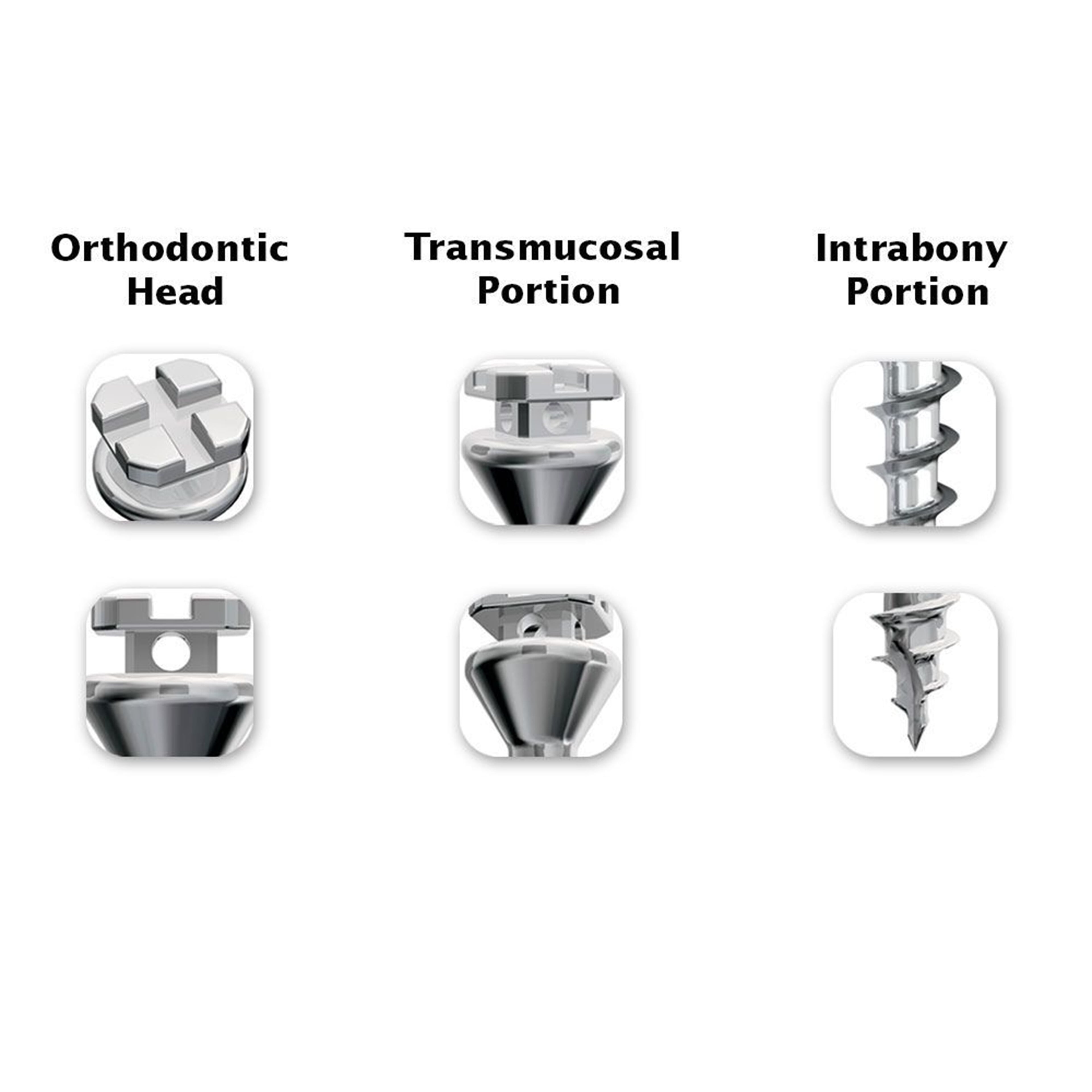 Ortho Technology Spiderscrews Short Neck, 7 mm