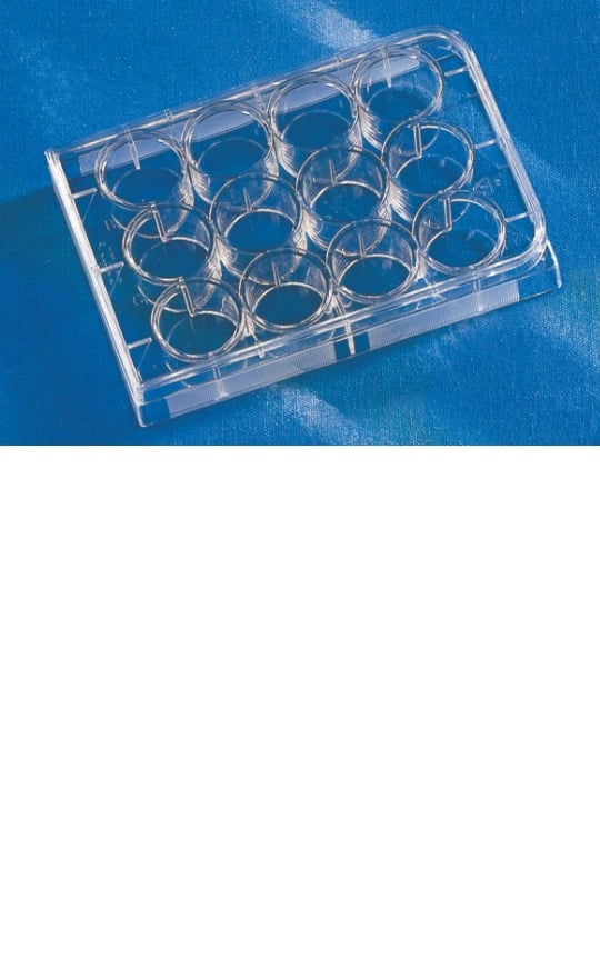 Corning Costar 12-Well Cell Culture Plate, TC-Treated, Polystyrene, Sterile, Individually Wrapped, 50/Case