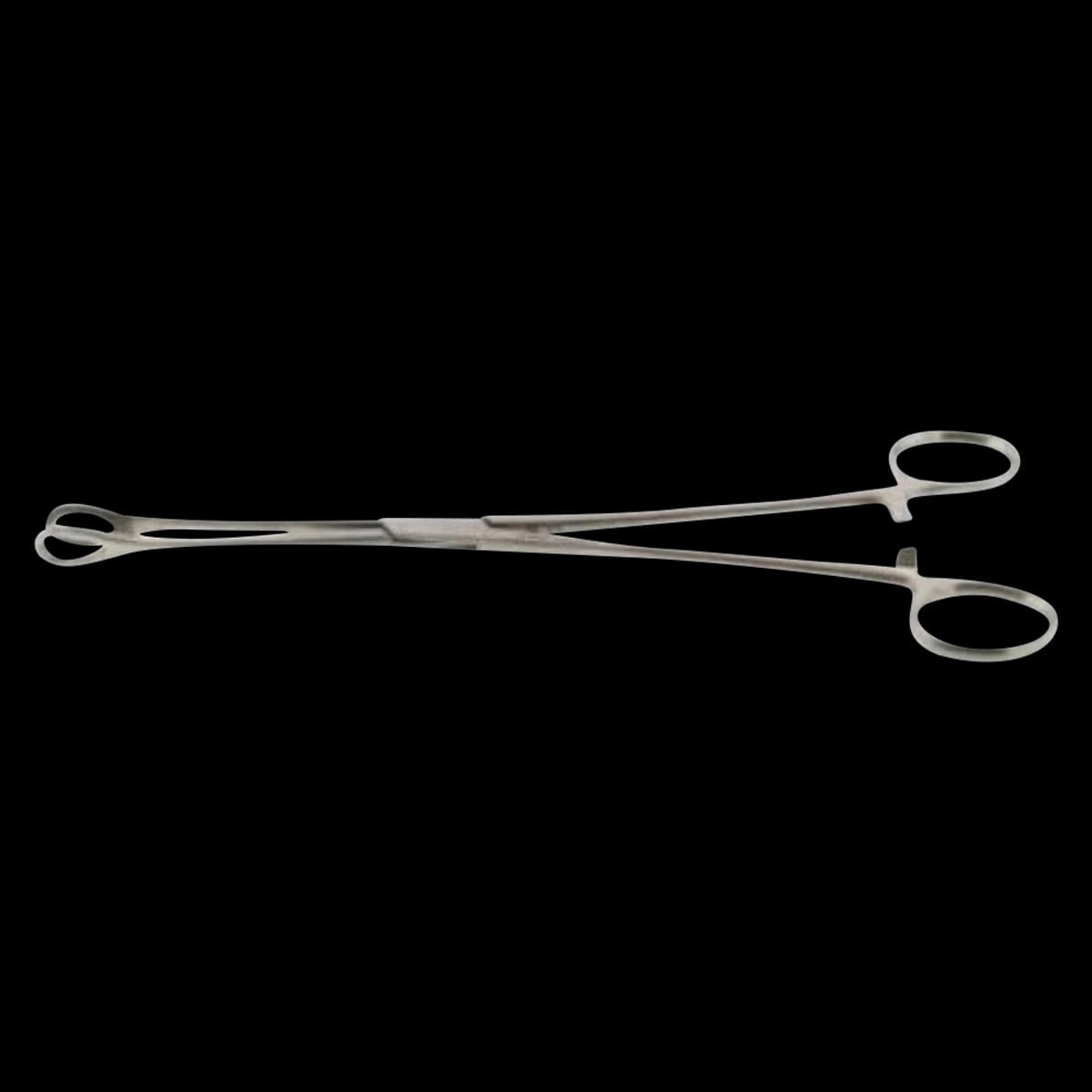 Foerster Sponge Forceps, Straight, 9-1/2", Sterile, 10/Box
