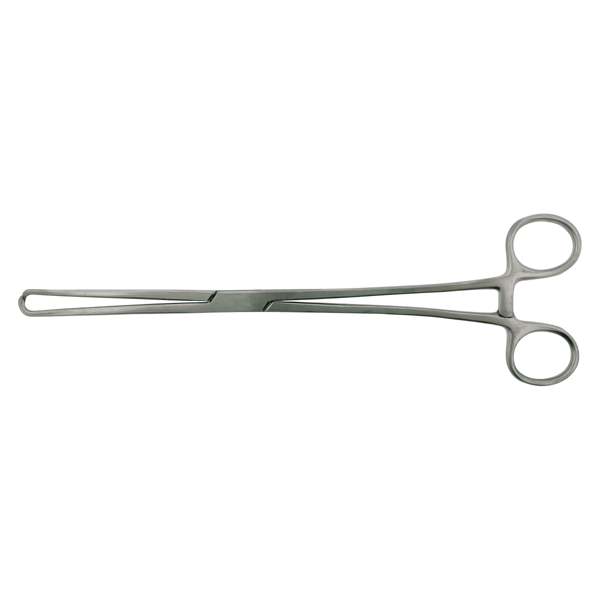 Schroeder-Braun Tenaculum Forcep, Straight, 9-3/4", Stainless Steel, Sterile, 10/Box