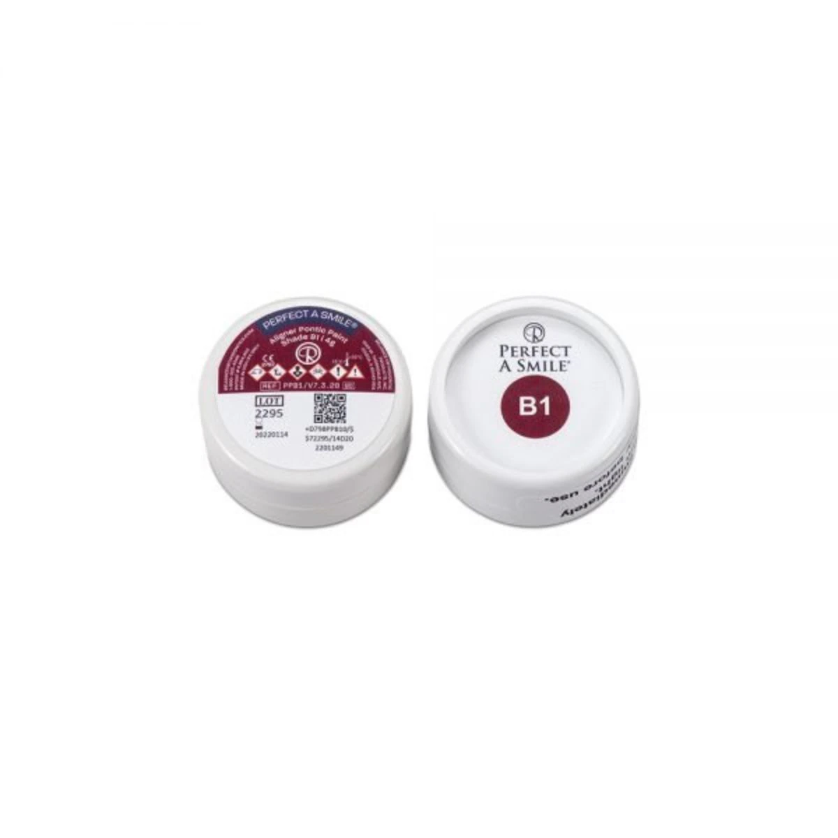 Perfect A Smile Pontic Paint, B1 Shade, 4g, Each