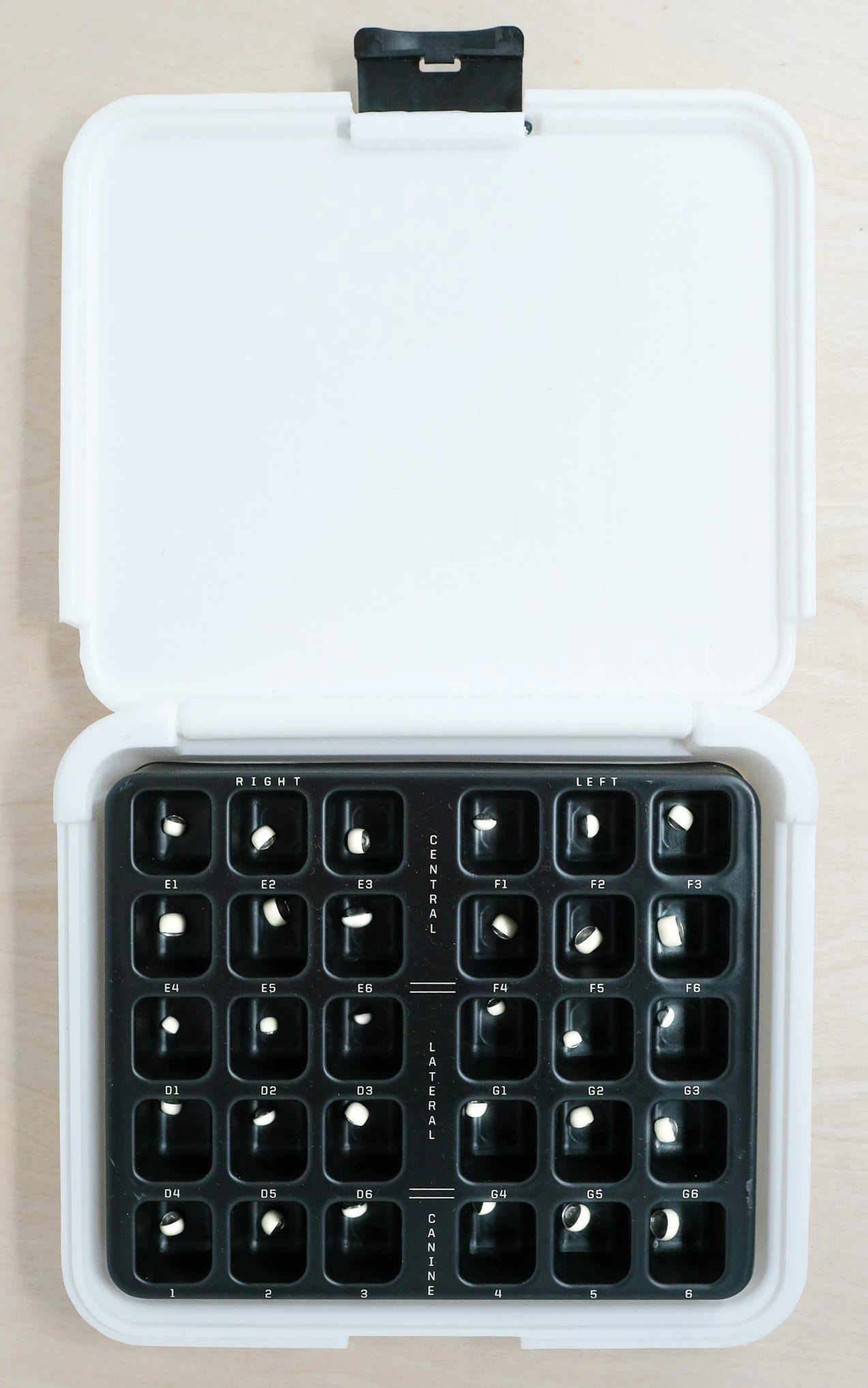 ACERO ESL SS Anterior Kit, Primary Anterior, Assorted Sizes, Each