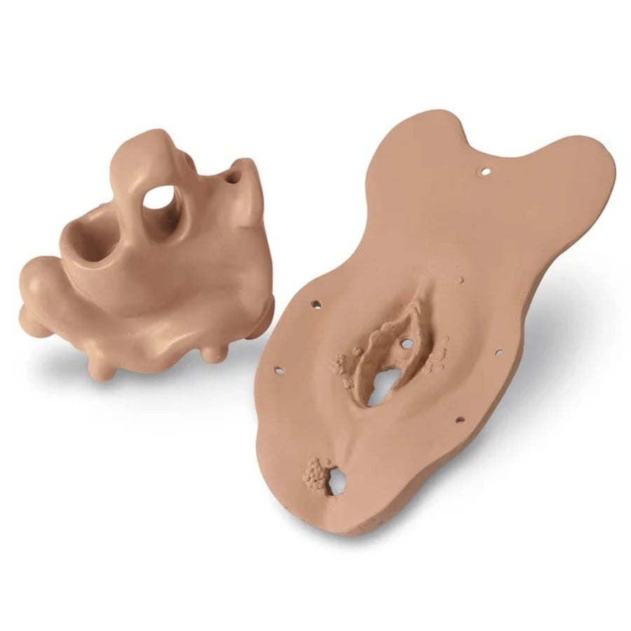 Life/form Gynecologic Pelvic Exam Simulator Module Set (4 Modules), 1/Set