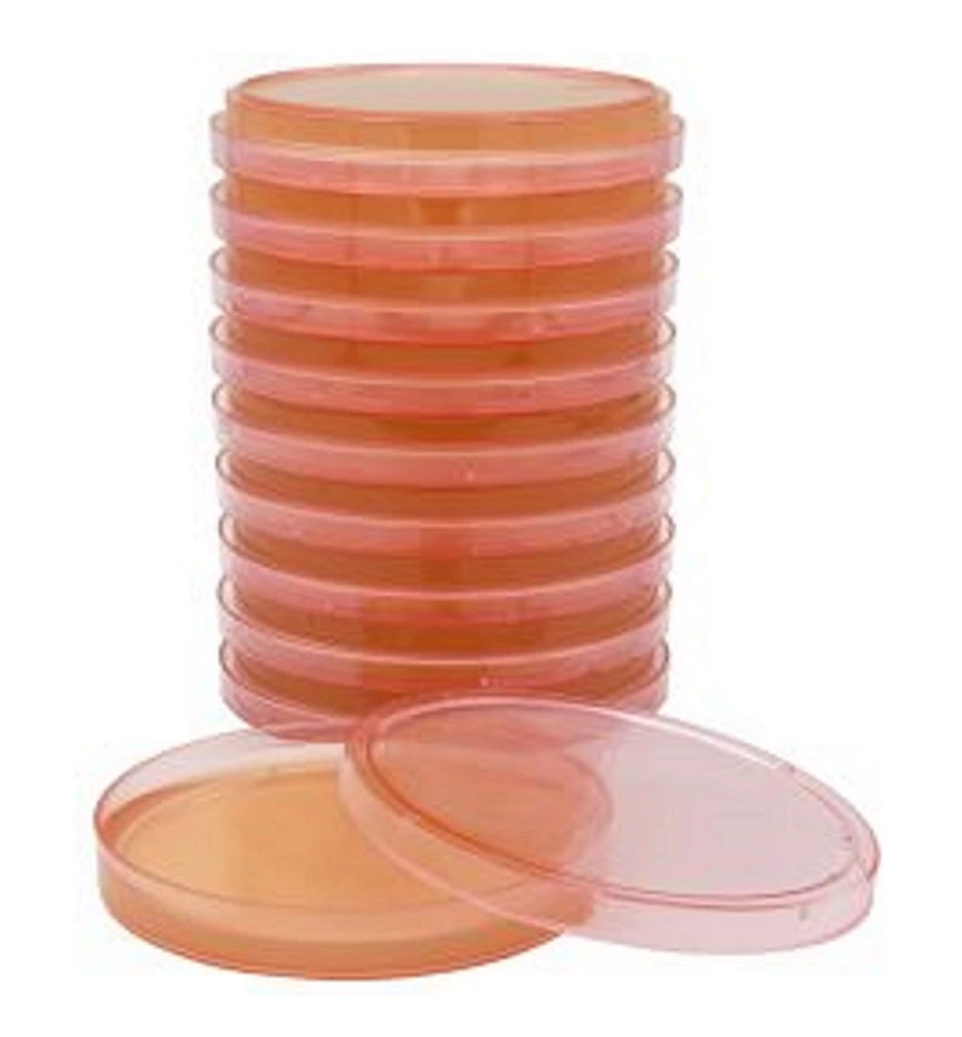 Hardy Diagnostics Sabouraud Dextrose Agar with Latex Reagents 1 and 2, Tinted Plate, 15x100mm, USP, 10/Package