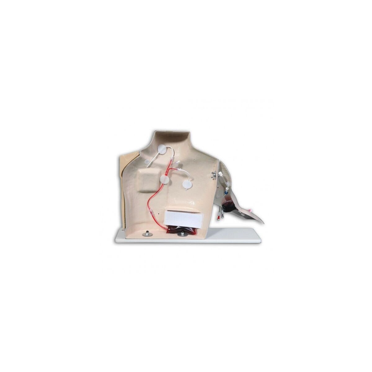 Vata Chester Chest Vascular Access Chest Model, Light Skin, Advanced with Port Access Arm