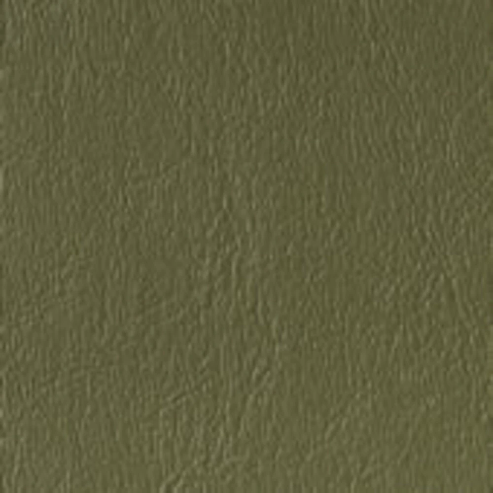Brewer Upholstery Top for FLEX High-Low PLUS Power Exam Table, 17" Width, Ivy Color