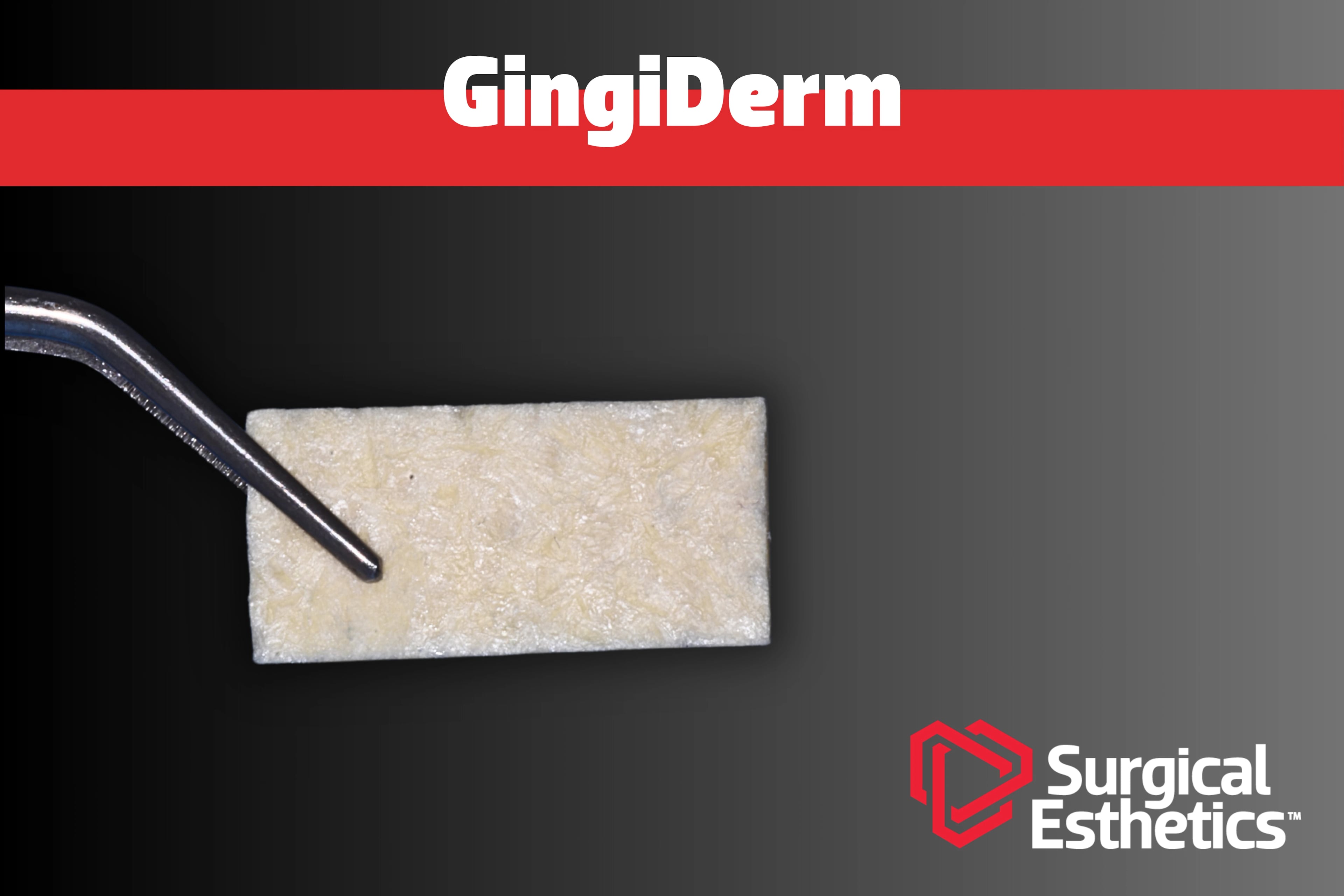 GingiDerm™ Acellular Dermal Matrix Allograft, 10x20mm, Each