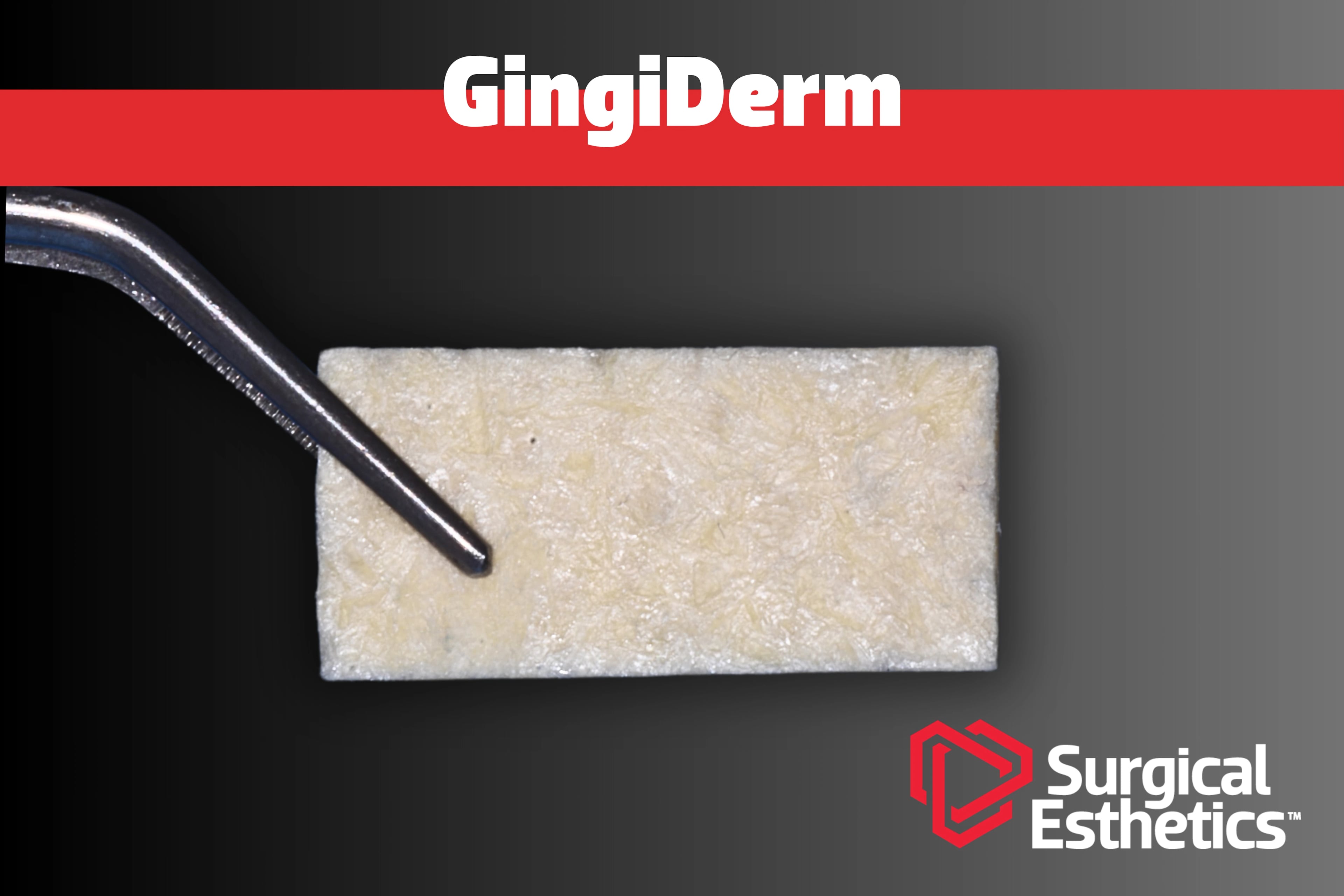 GingiDerm™ Acellular Dermis 20x40mm, 1 Each