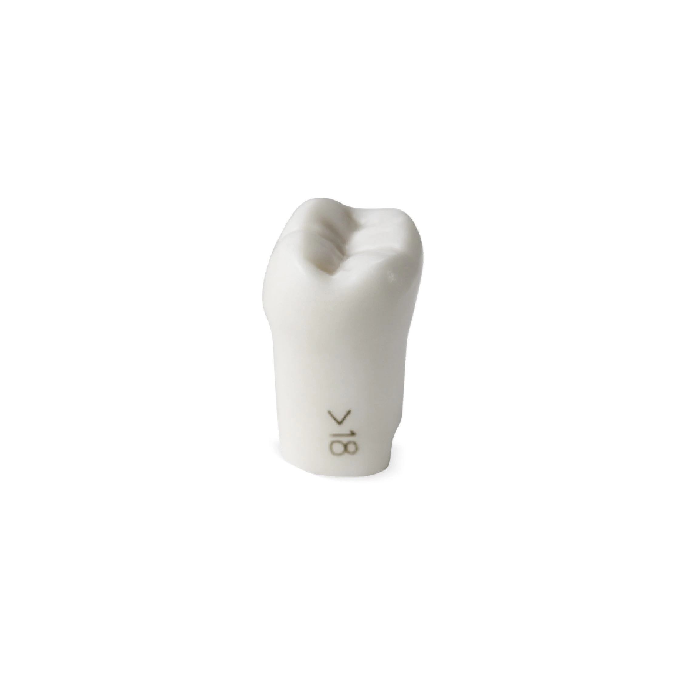 ModuPRO One M300 Replacement Tooth #18, White