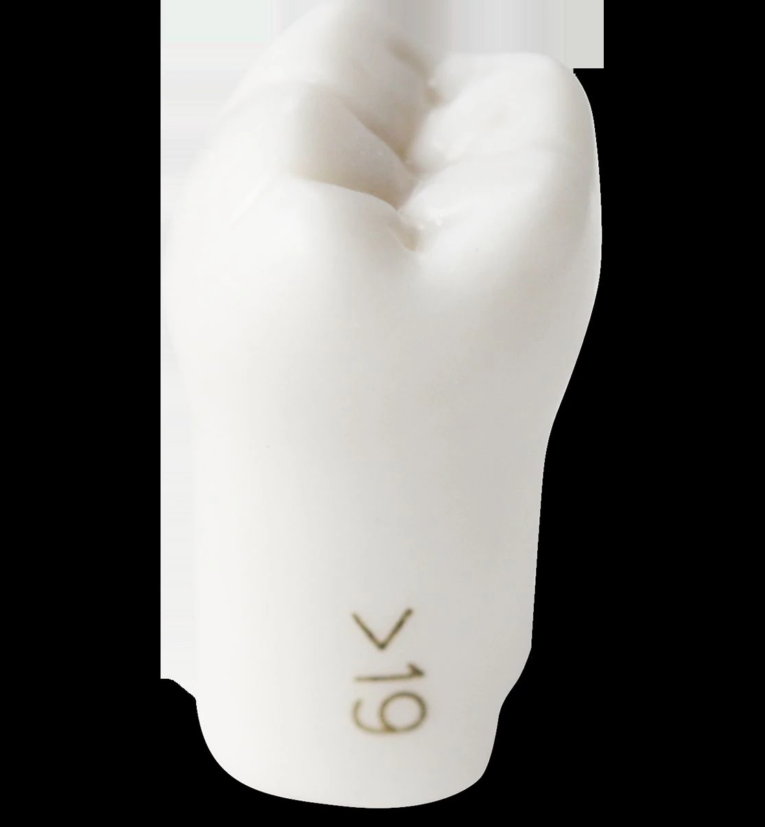 ModuPRO One M300 Replacement Tooth #19, White