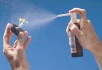 Renfert Picosilk Spray, 75 ml Bottle