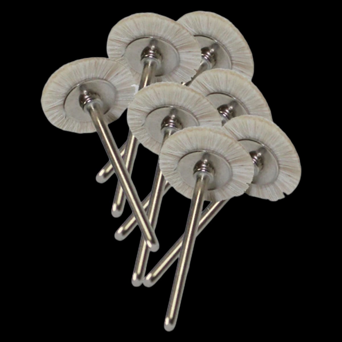 Dental Ventures of America Soft White Bristle Polishing Brush, 12/Pkg
