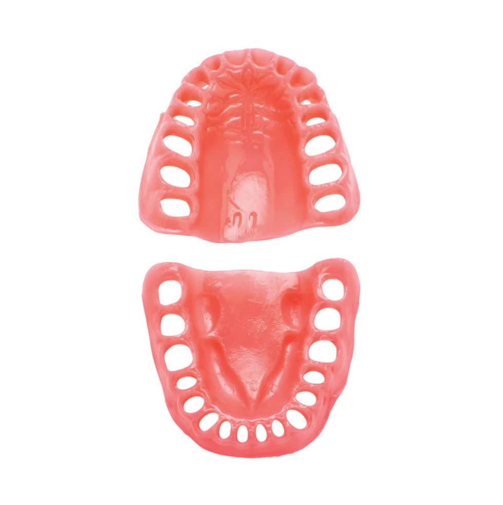 Columbia Dentoform Gingival Typodont Model, Upper and Lower Gums, PVF-8612