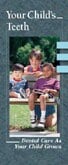 Brochure Your Child's Teeth, 6 Panels, English, 50/Box