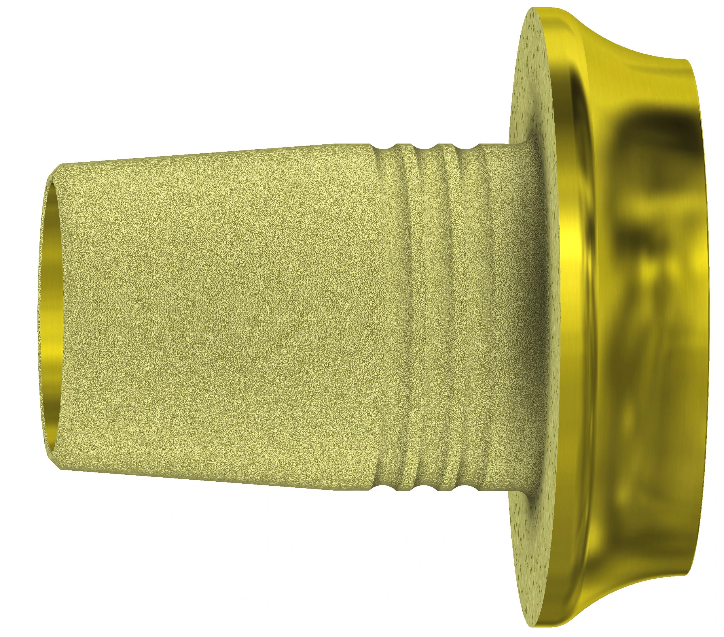 DESS C-Base Non-Engaging 5.0, 3i Osseotite, 1.5mm Gingival Height, External Hex, USA