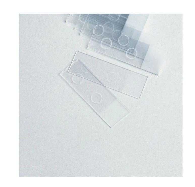 Cardinal Slide Micro S/P Preclean Plain Fluorescent Microscope Slide, 3x1", Clear, 2 Frosted Circles, Grounded Edges, 10 Gross/Case