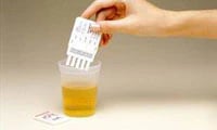 Accutest Multidrug Screen Dip Card Test Kit, 6 Panel (AMP/COC/MET/OPI 2000/PCP/THC), 25/Box