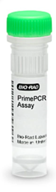 Multiqual Assay Level 3 Control, 3mL, 12/Box, 3160639