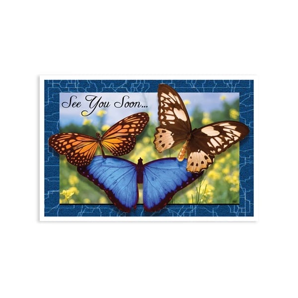 Sherman Specialty See You Soon 4-Up Recall Cards, Butterfly Design, 8.5" x 11", 200/Box