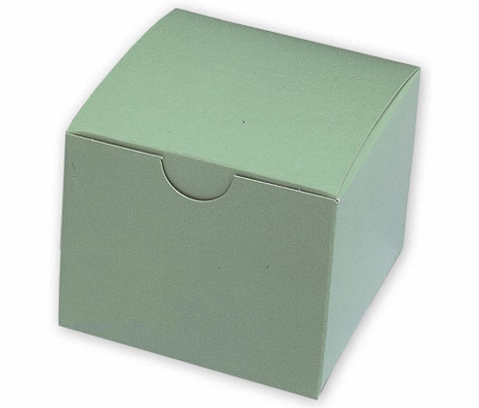 Single Model Storage Box, Green, 3.5 in x 2.75 in x 3.75 in, 100/Package