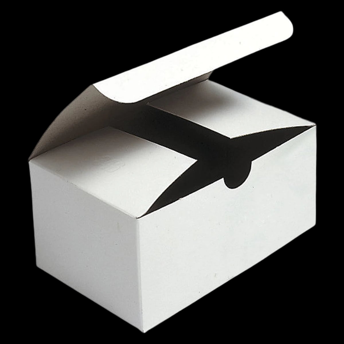 Double Model Storage Box, White, 5.75 in x 2.75 in x 3.75 in, 100/Package
