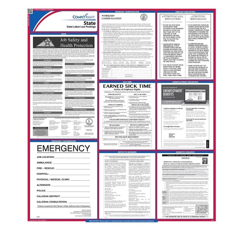 Comply Right State Labor Law Poster, South Carolina, English, 27 in x 39 in, 100 lb Gloss Stock