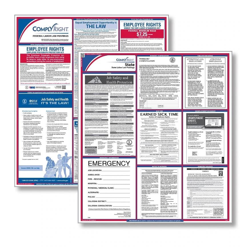 Comply Right Poster Fed & State Law Kit, New York, English, 24 in x 32.75 in, 100 Lb Gloss Stock