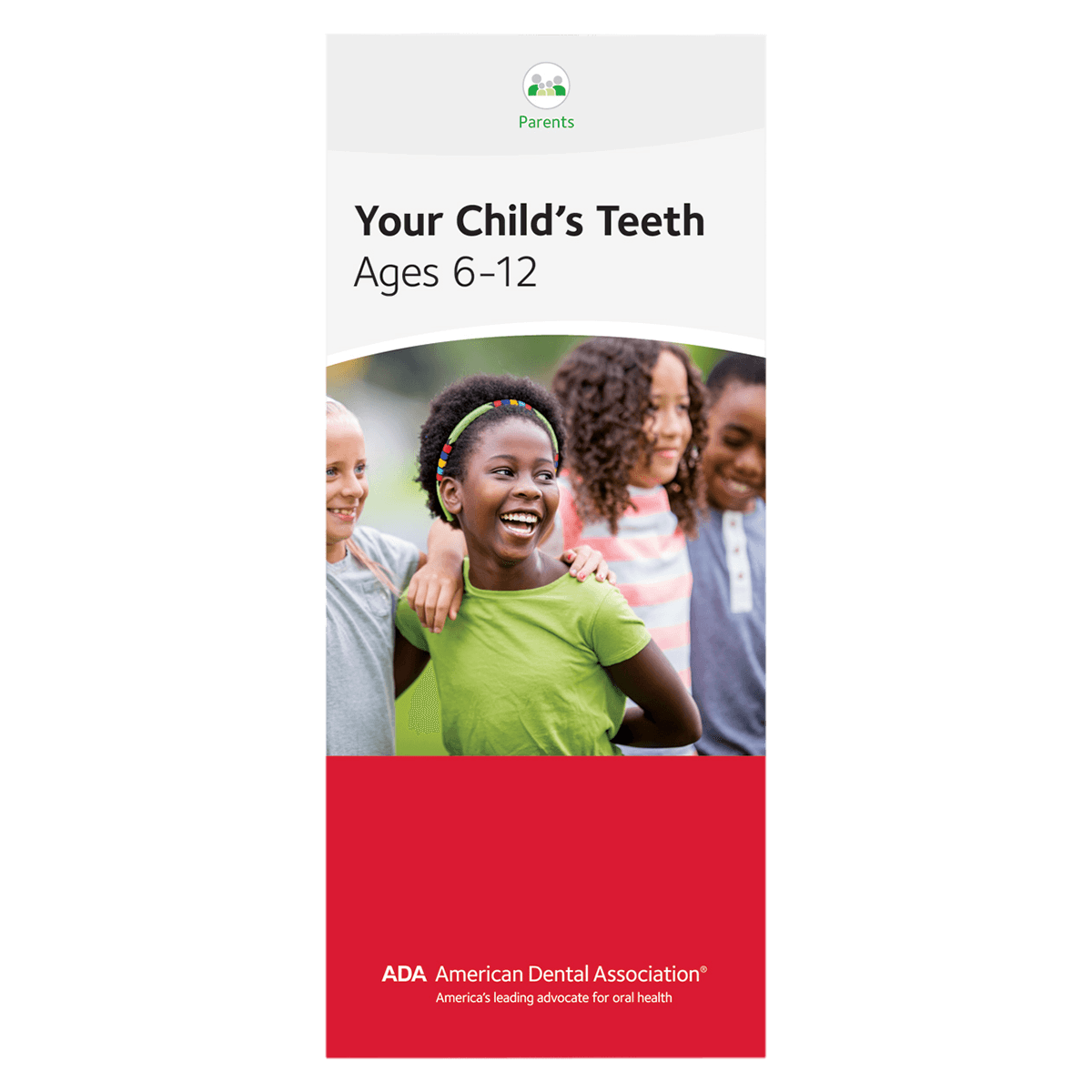 American Dental Assn Brochure Child's Teeth, Ages 6-12, 8 Panels, English, 50/Package